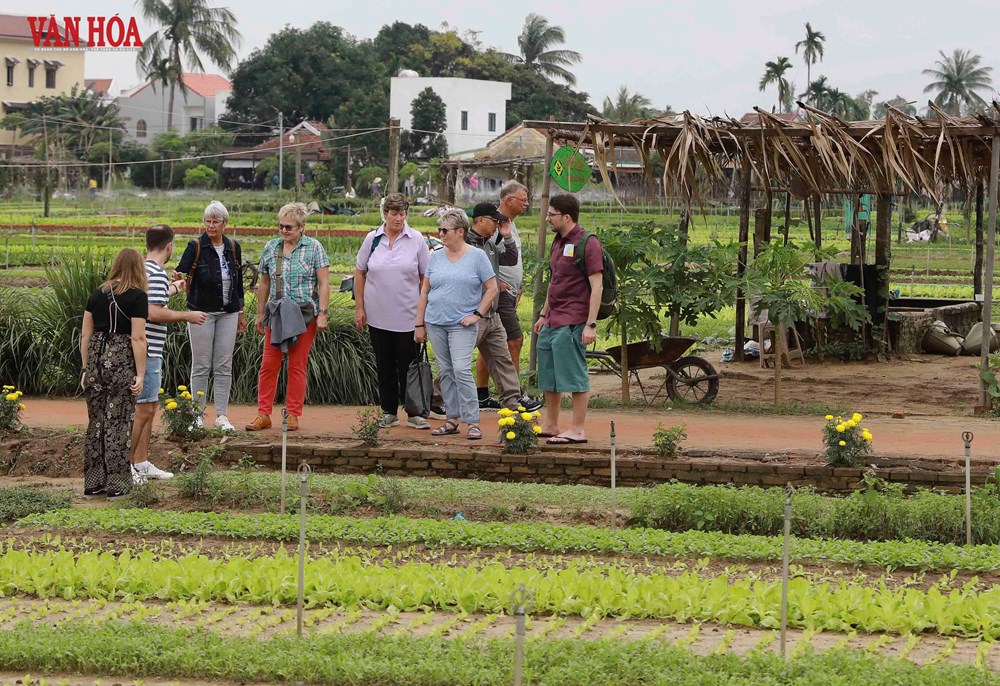 Căn hộ Studio view sông Vista Residence